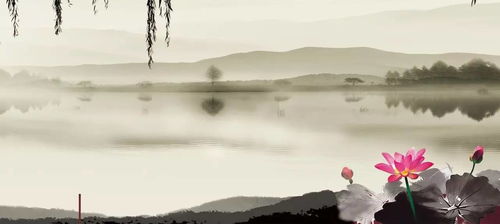 燕南飛的古詩句