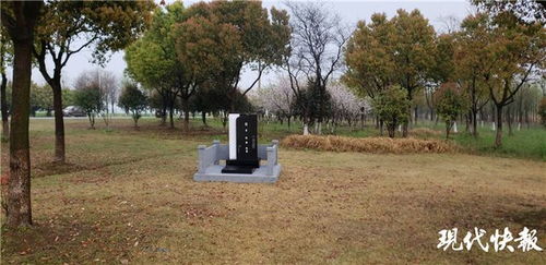 關(guān)于新墳舊墳的詩(shī)句