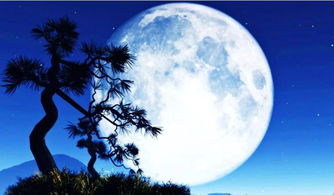 借月亮抒發(fā)情感的詩句,寄月亮情感的詩句,關(guān)于月亮的詩句及表達(dá)的情感