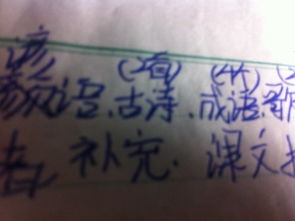 詩(shī)句,詞語(yǔ),母親