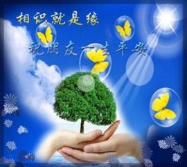 兩個關(guān)于友情的詩句