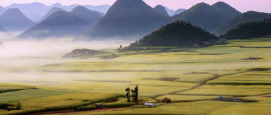 田園詩情古詩詩句