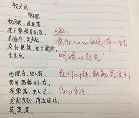 關(guān)于夏天的詩句初中生