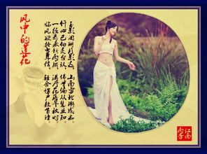 倉央嘉措關(guān)于樹的詩句