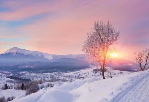 寫一句關于冬天的詩句