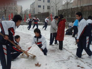 關(guān)于同學(xué)們打雪仗堆著雪人的詩句
