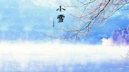 關(guān)于小雪節(jié)氣的詩句古詩
