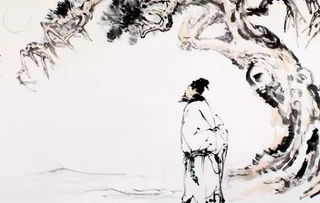 蘇軾的關于花的詩句