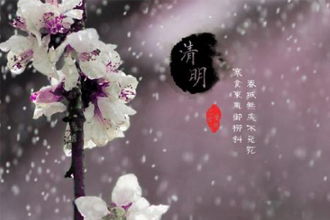 女子頭發(fā)的古詩句