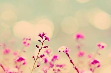 懷念從前的古詩(shī)句