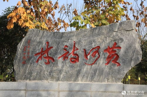 初一.關于黃河的詩句