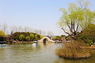 關(guān)于揚(yáng)州景色的詩句