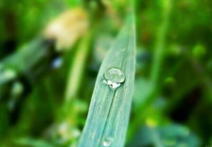 描寫(xiě)不努力就會(huì)失敗的詩(shī)句,形容拼命努力了還是失敗的詩(shī)句,形容努力卻還是失敗了的詩(shī)句