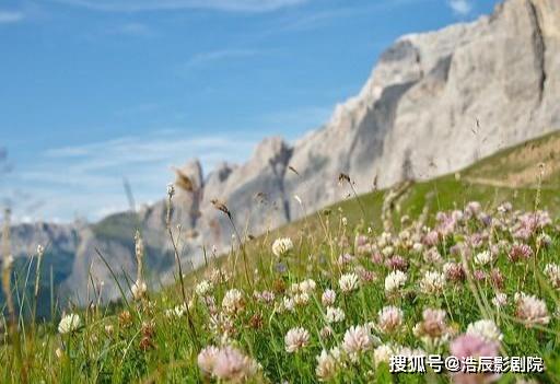 外表柔弱內(nèi)心堅強(qiáng)的古詩句