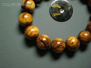 關(guān)于一根樹杈的詩句