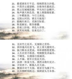 古詩,詩句,初中,重點