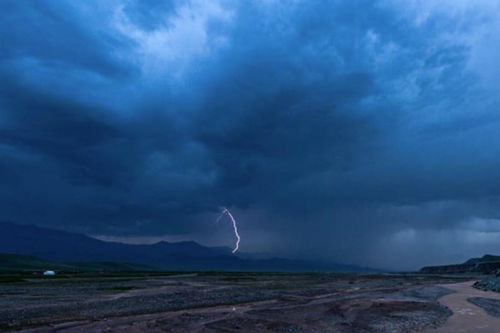 描寫冬天雨的詩句古詩