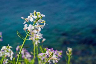 哪些古詩中有珍惜時間的詩句