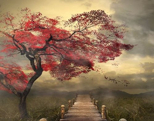 關(guān)于凄美愛情的詩句現(xiàn)代詩,關(guān)于青春愛情的詩句現(xiàn)代詩,描寫愛情的詩句現(xiàn)代詩