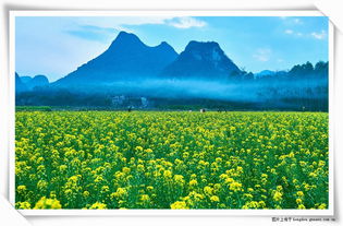 有關(guān)于春天花的詩句