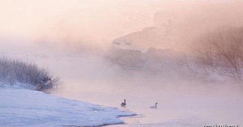 有關(guān)于科普的詩句