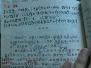 關(guān)于對(duì)生活的追求的詩(shī)句