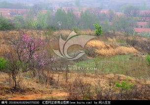 關(guān)于雨中鄉(xiāng)村的詩(shī)句