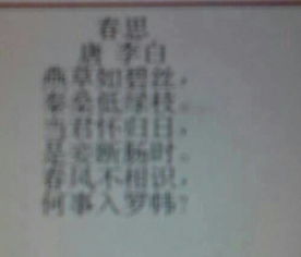 詩句,詩中,帶有