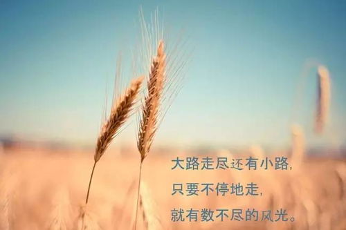 關(guān)于自律勵志的詩句