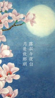 關(guān)于中秋節(jié)的五字十一行詩(shī)句