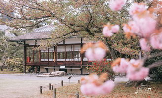 含有歌的古詩句陶淵明