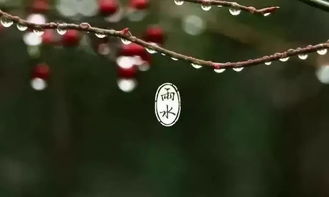 含有雨字的古詩(shī)句,含有雨的古詩(shī)句有哪些,寫出含有雨的古詩(shī)句