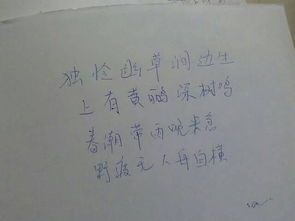 滁州,古詩(shī),詩(shī)句,拼音