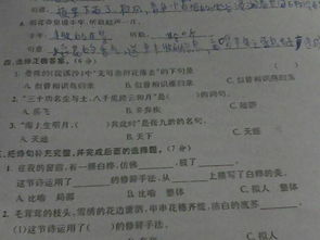 傾盡所有意思的古詩句