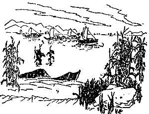 含有成語的古詩句,含有菊花的古詩句,含有花的古詩句