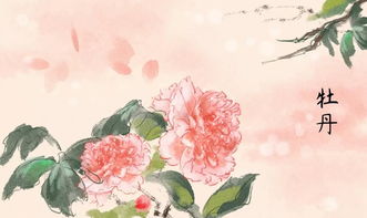 關(guān)于牡丹的詩(shī)句王建