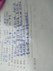 請默寫兩句描寫春的古詩句