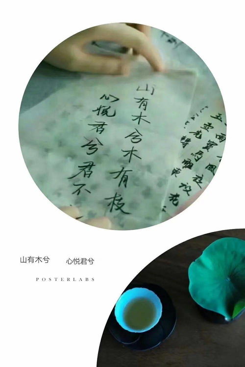 詩(shī)句,緣淺緣散