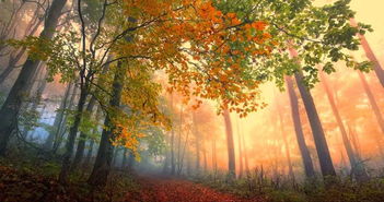 關(guān)于秋天友人惜別的詩句