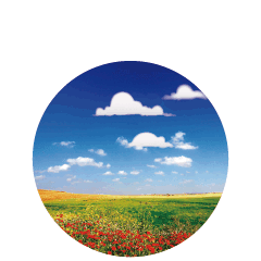 早上問候的古詩句,問候早上好的古詩句,問候早安的古詩句