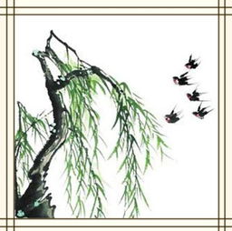 西湖柳樹的古詩句