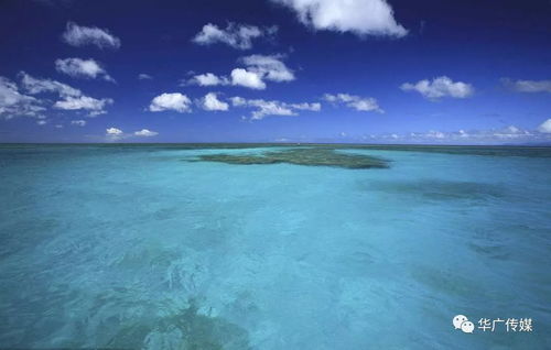 關于胸懷開闊的詩句