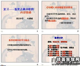 關(guān)于德育總結(jié)的詩句