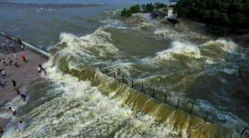 贊美錢塘江大潮的古詩句