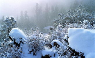 關(guān)于冬天的外國詩句