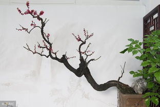 關(guān)于春景物的詩(shī)句古詩(shī)詞