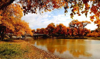 秋天景色的詩句古詩大全,關(guān)于中秋思鄉(xiāng)的詩句古詩大全,關(guān)于思鄉(xiāng)的詩句古詩大全