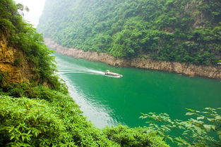 四級關于長江的詩句有哪些