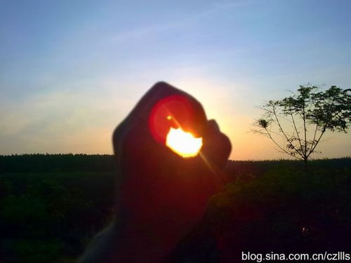 詩句,清晨,陽光