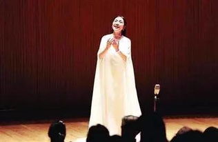 關(guān)于視聽的詩句